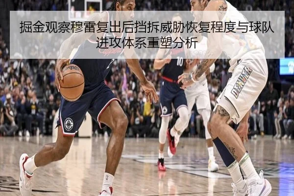 掘金观察穆雷复出后挡拆威胁恢复程度与球队进攻体系重塑分析 - leyu
